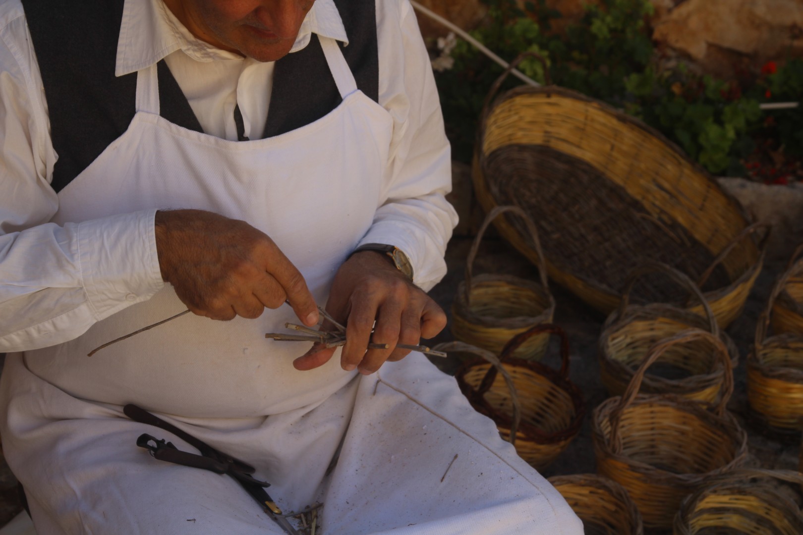 La sagra della zampina